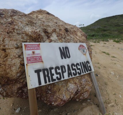 epstein island